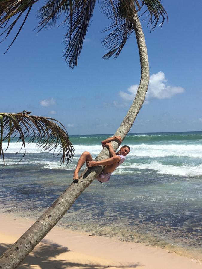 Hotel Indigo Unawatuna Eksteriør billede